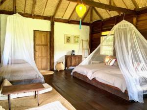 湄登La Maison - Chiangmai的一间卧室配有带蚊帐的床