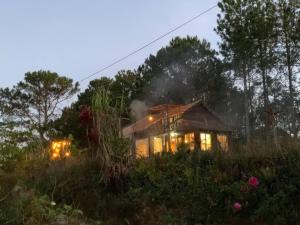 阿普春安Romantic house on a pine hill Dalat的山上一所烟熏的房子