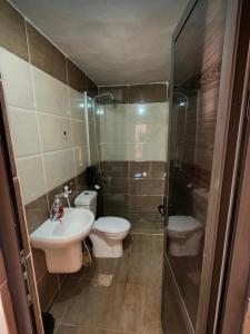 瓦迪拉姆Desert guide camp的浴室配有卫生间、盥洗盆和淋浴。