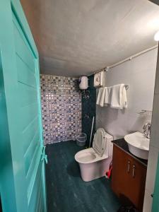 穆克缇斯瓦Himalayan Havenwood的一间带卫生间和水槽的小浴室
