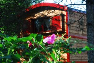 JumellesGypsy Nature B&B的红屋顶和窗户的树屋