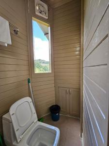 穆克缇斯瓦Himalayan Havenwood的一间带卫生间和窗户的小浴室