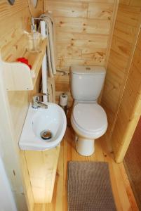JumellesGypsy Nature B&B的一间带卫生间和水槽的小浴室
