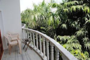 克久拉霍Hotel Isabel Palace, Khajuraho的阳台配有椅子和棕榈树