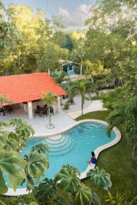 巴卡拉尔Casa Cactus Buenavista的游泳池内人头顶的景色