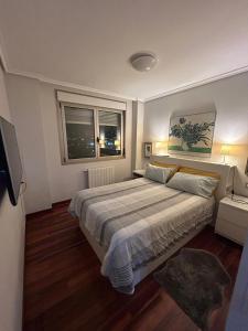 桑坦德Apto. Las LLamas S20 Santander, Garaje y Wifi的一间卧室设有一张大床和两个窗户。