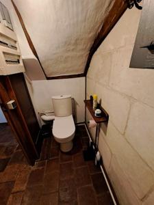 Beaumont-la-RonceLa Chauvellière, un écrin de verdure dans un cadre historique的一间小浴室,内设卫生间