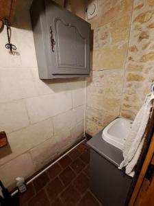 Beaumont-la-RonceLa Chauvellière, un écrin de verdure dans un cadre historique的一间带水槽和卫生间的小浴室