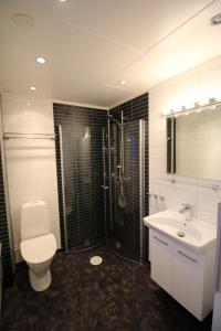萨伦Gula Byn 411A的浴室配有卫生间、盥洗盆和淋浴。