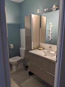 艾克斯莱班Joli studio proche des thermes的一间带卫生间、水槽和镜子的浴室