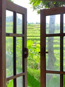 Pu LuongLua Pu Luong的朝外的绿色田野的敞开的门