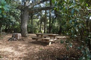 维泰博Agriturismo la Romanella的树木繁茂的公园里的木餐桌
