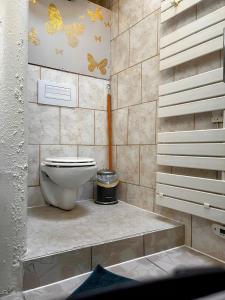 吕讷Troglo Papillon的浴室设有卫生间,墙上挂有蝴蝶。