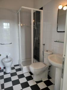 普拉托弗瑞斯特日桑尼克罗酒店的带淋浴、卫生间和盥洗盆的浴室
