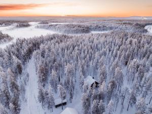 PelkosenniemiPyhä Saukonpiilo的雪覆盖的森林的空中景观