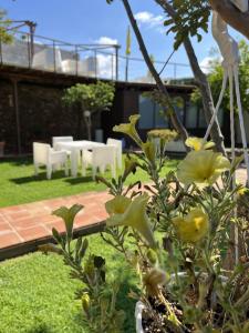 Algimia de AlfaraEl Secanet的花园设有庭院,庭院内摆放着白色的椅子和鲜花