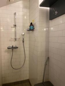 赫尔辛基芬兰堡酒店的带淋浴的浴室
