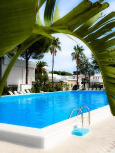 焦维纳佐里瓦德尔索尔酒店的一个种有棕榈树的大型蓝色游泳池