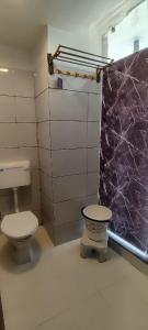 艾哈迈达巴德Hotel Shaswat Inn的一间带卫生间和水槽的浴室
