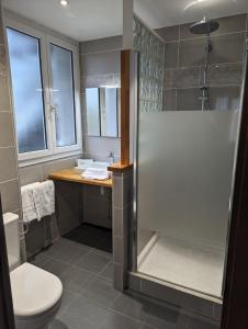 阿雷特Hôtel de l'Ours的带淋浴、卫生间和盥洗盆的浴室