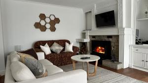 伊斯特曼Chalet KLS Lac D'Argent的带沙发和壁炉的客厅
