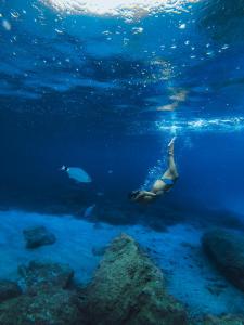 圣何塞7Pines Resort Ibiza, part of Destination by Hyatt的女人在海洋里用鱼游泳