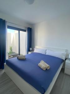 拉奥利瓦Villa Sol Fuerteventura的一间卧室设有一张大蓝色的床和窗户