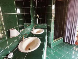 MtubatubaGREEN TREE的绿色瓷砖浴室设有两个水槽和镜子