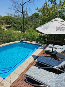 侯斯普瑞特Kingfisher Creek Safari Lodge的一个带两把椅子和遮阳伞的游泳池