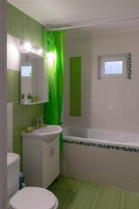 阿尔杰什河畔库尔泰亚TheRefuge的绿色浴室设有卫生间和水槽