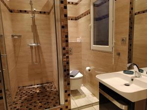 鲁昂Appartement centre ville的带淋浴、盥洗盆和卫生间的浴室