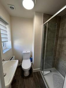 巴克斯顿Peak View - Modern Cottage的浴室配有卫生间、淋浴和盥洗盆。