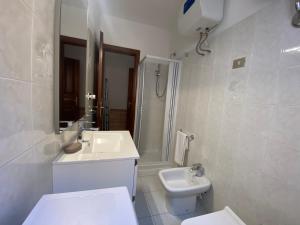 萨萨里Residence La Peonia的一间带水槽、卫生间和淋浴的浴室