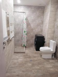 萨克德佐尔镇kechi House apart hotel的一间带卫生间和淋浴帘的浴室