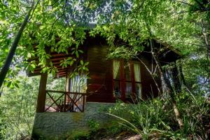 代尼耶耶辛哈拉加莱斯特旅馆的森林中的一个树屋