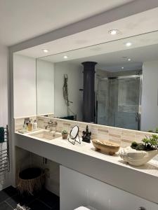 普里茅斯Suite4SerenityRWY Luxury Apartment with Sea view with free parking的一间带水槽和大镜子的浴室