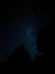 拉纳尔韦湖Cabaña frente al Lago Lanalhue的前场上一棵树的星空之夜