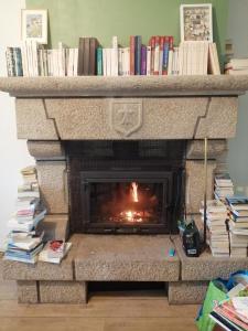 GuilliersHORTENSE的壁炉,壁炉上摆放着书籍