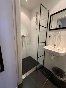 阿姆斯特丹Hotel Hortus的带淋浴和盥洗盆的浴室