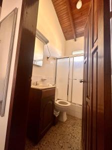 拉塞瓦Villas del Mar的浴室配有卫生间、盥洗盆和淋浴。