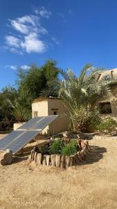 锡瓦Siwa desert home的棕榈树建筑旁边的太阳能电池板