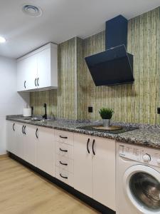 安度亚尔Fernando Quero 21的厨房配有洗衣机和洗衣机。