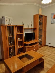 维戈Loft Teis的客厅配有木制家具和电视