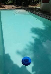Dos BrazosCasa Bolita的水中蓝色的飞盘