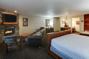 约翰斯顿Stoney Creek Hotel Des Moines - Johnston的一间卧室配有一张床、一个壁炉和一台电视。