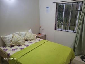 格罗斯岛East Caribbean Lodging的一间卧室配有带枕头的绿色床和窗户。