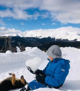 兰卡潘苏纳安库塔旅馆的和狗一起坐在雪地里的小孩