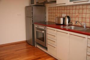 库雷萨雷Kuressaare Holiday Apartments的厨房配有不锈钢冰箱和水槽