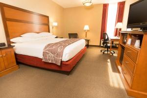 斯普林菲尔德密苏里州斯普林菲尔德德鲁套房旅馆的配有一张床和一台平面电视的酒店客房
