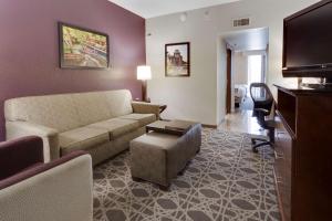圣安东尼奥圣安东尼奥东北德鲁利套房酒店的带沙发和平面电视的客厅